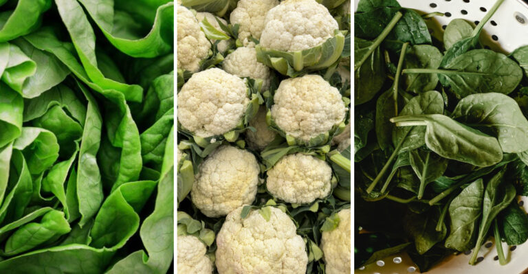 9 Vegetables Wisconsin Gardeners Should Harvest This Week