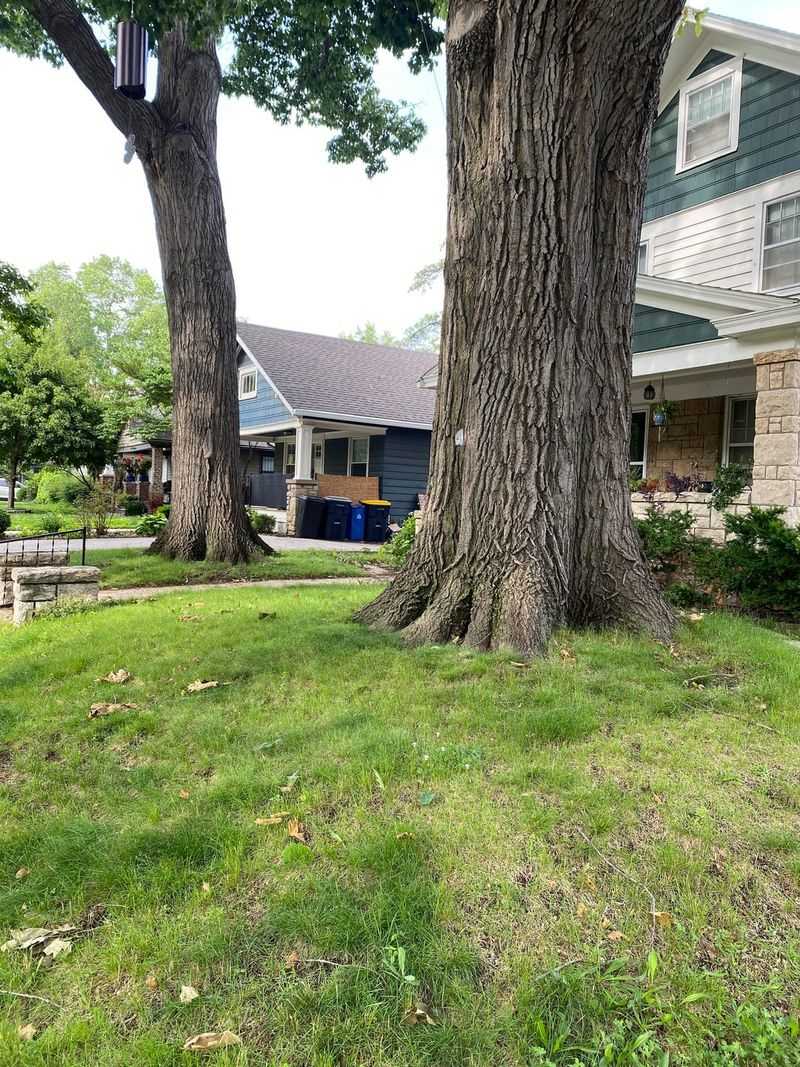 A Certified Arborist Report Carries Weight A Certified Arborist Report Carries Weight