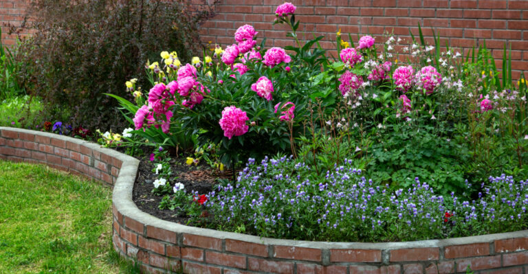 A Common July Watering Mistake Hurting Missouri Flower Beds
