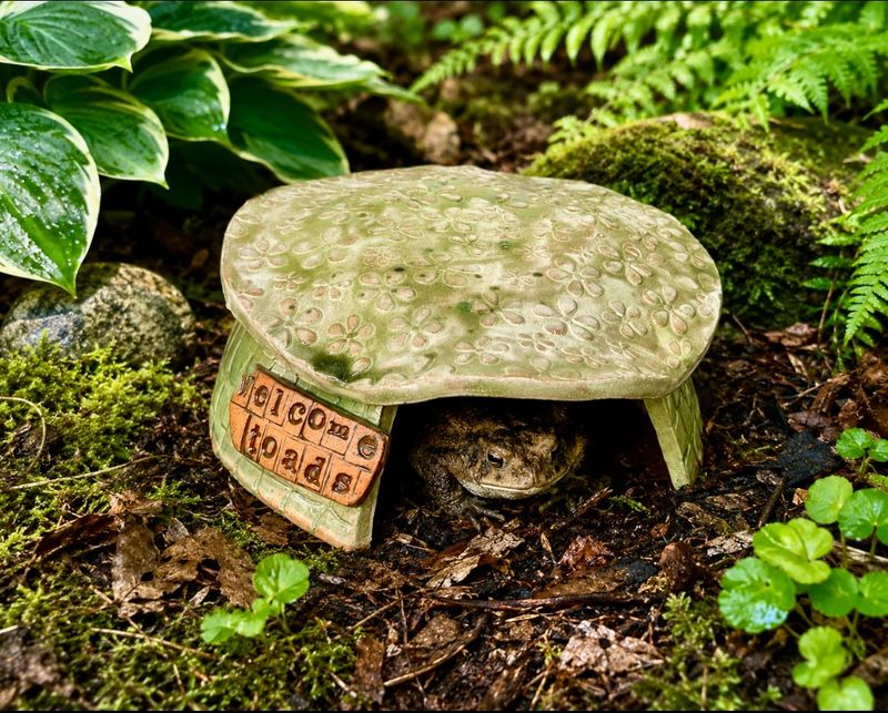 A Damp Location Makes Toad Houses More Effective