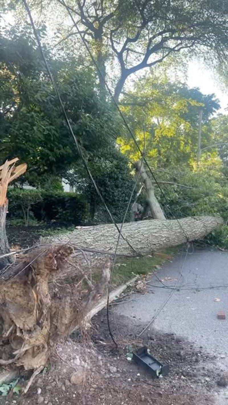 A Downed Wire Changes The Whole Cleanup Plan A Downed Wire Changes The Whole Cleanup Plan