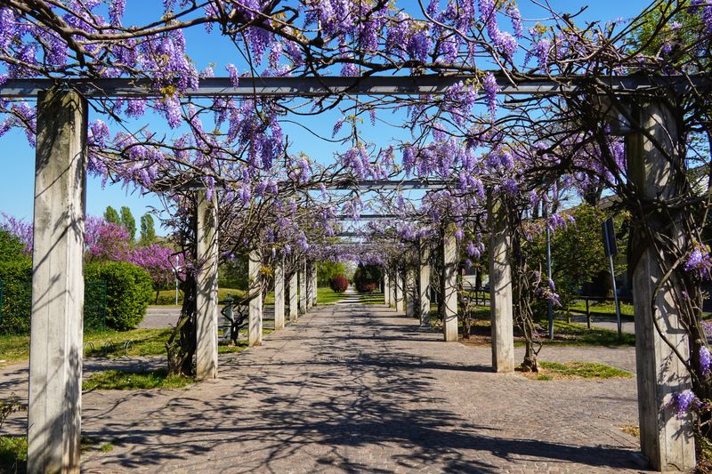 A Good Structure Makes Your Pruning Routine Even More Effective A Good Structure Makes Your Pruning Routine Even More Effective