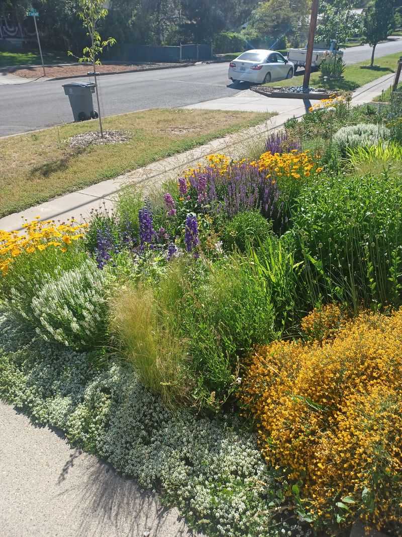 A Maintained Border Can Prevent Complaints A Maintained Border Can Prevent Complaints