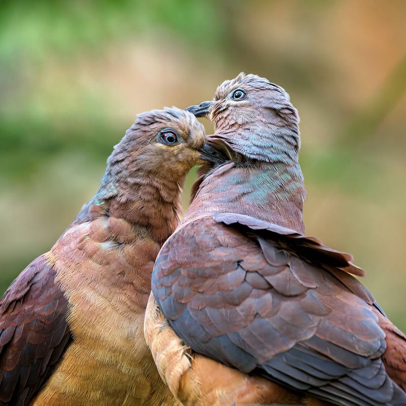 A Pair May Be Bonding