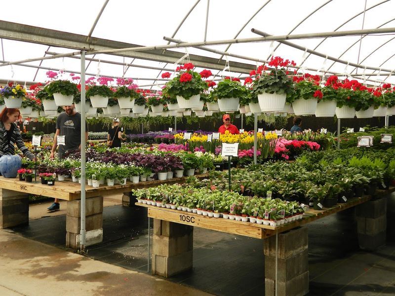 A Plant Selection That Goes Far Beyond A Typical Nursery A Plant Selection That Goes Far Beyond A Typical Nursery