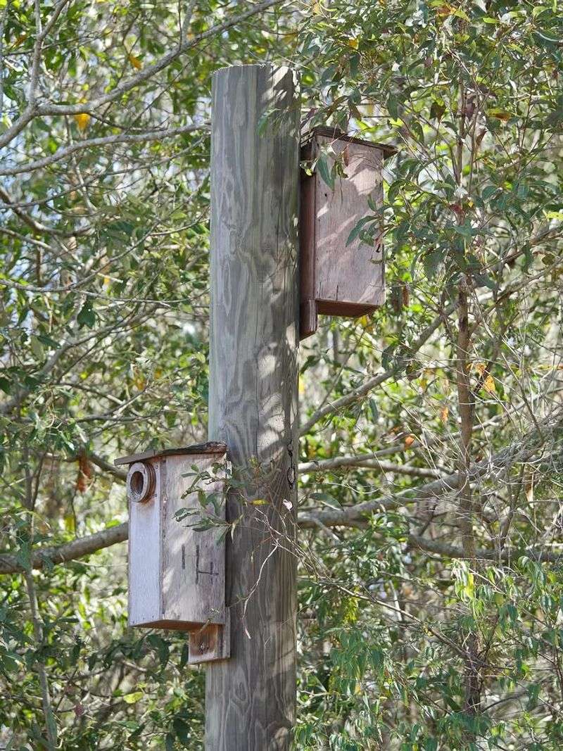 A Pole-Mounted Box Is Safer Than One Nailed To A Tree A Pole-Mounted Box Is Safer Than One Nailed To A Tree