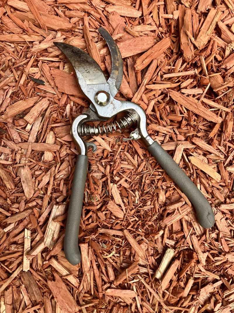 A Reliable Method For Tools And Technique