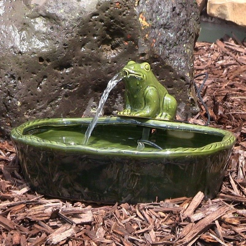 A Shallow Water Source Brings More Toads