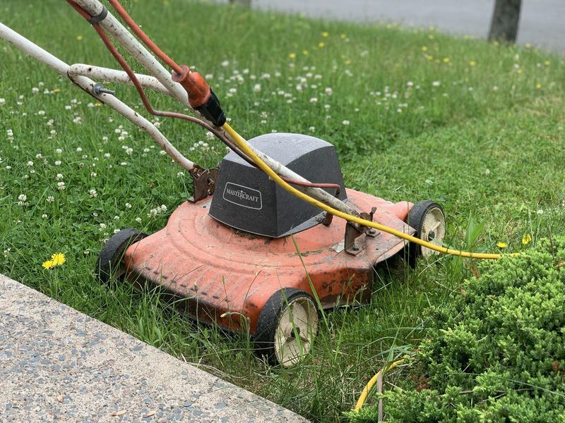 A Sharp Mower Blade Creates A Cleaner Cut A Sharp Mower Blade Creates A Cleaner Cut
