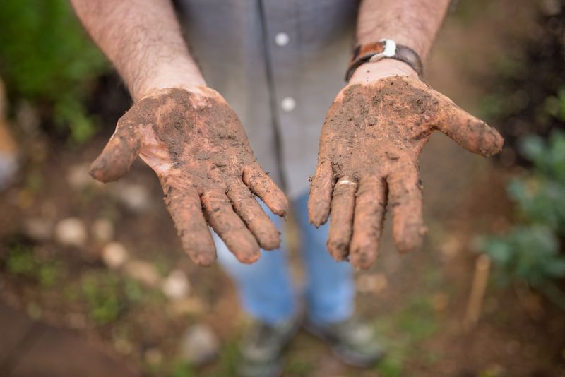 A Simple Soil Check Beats Watering On A Fixed Schedule