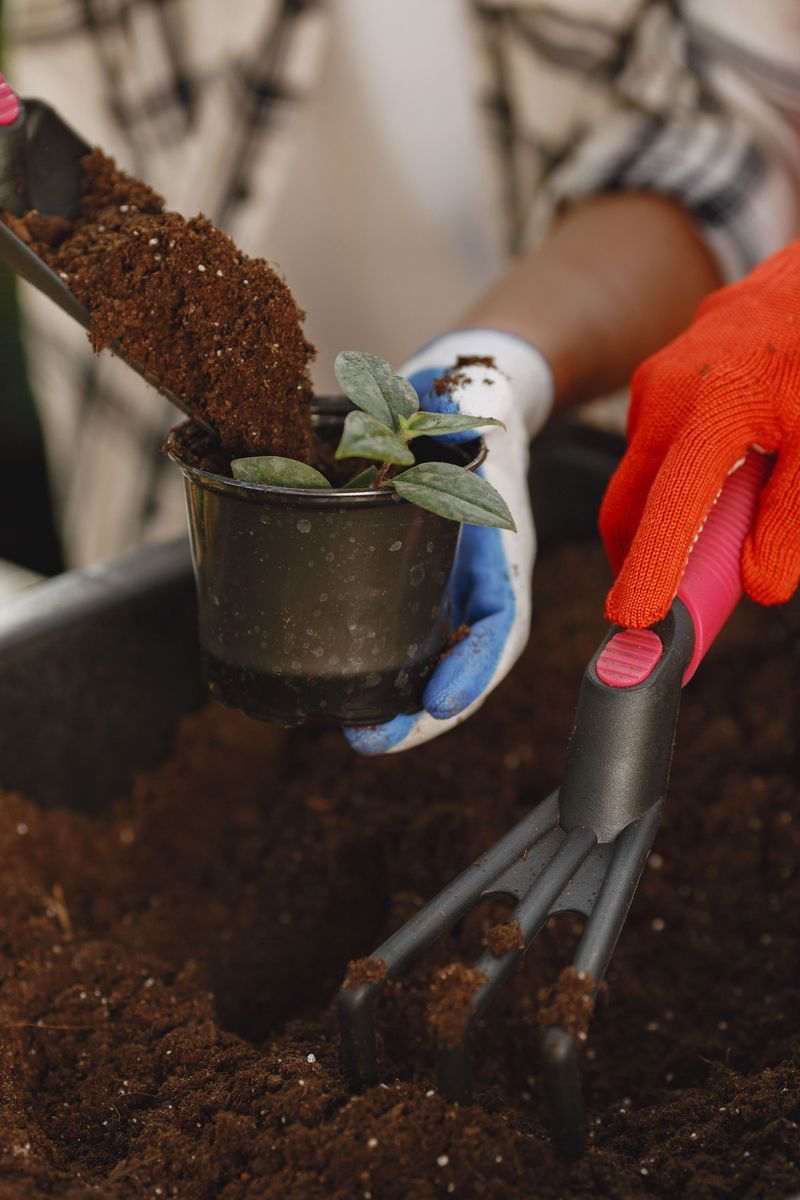 A Simple Tool And A Bit Of Timing Loosen Crusted Soil Fast A Simple Tool And A Bit Of Timing Loosen Crusted Soil Fast
