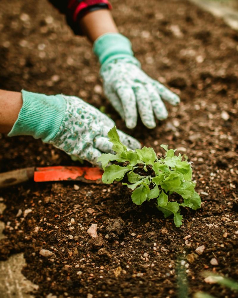 A Soil Test Prevents Unnecessary Amendments A Soil Test Prevents Unnecessary Amendments