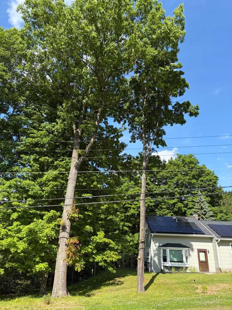 A Solar Easement Carries More Weight A Solar Easement Carries More Weight