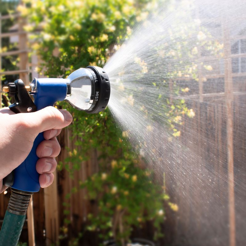 A Strong Water Spray Can Remove Them A Strong Water Spray Can Remove Them