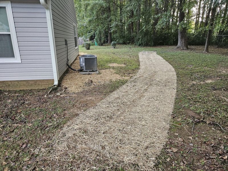 A Swale Gives Water A Path A Swale Gives Water A Path