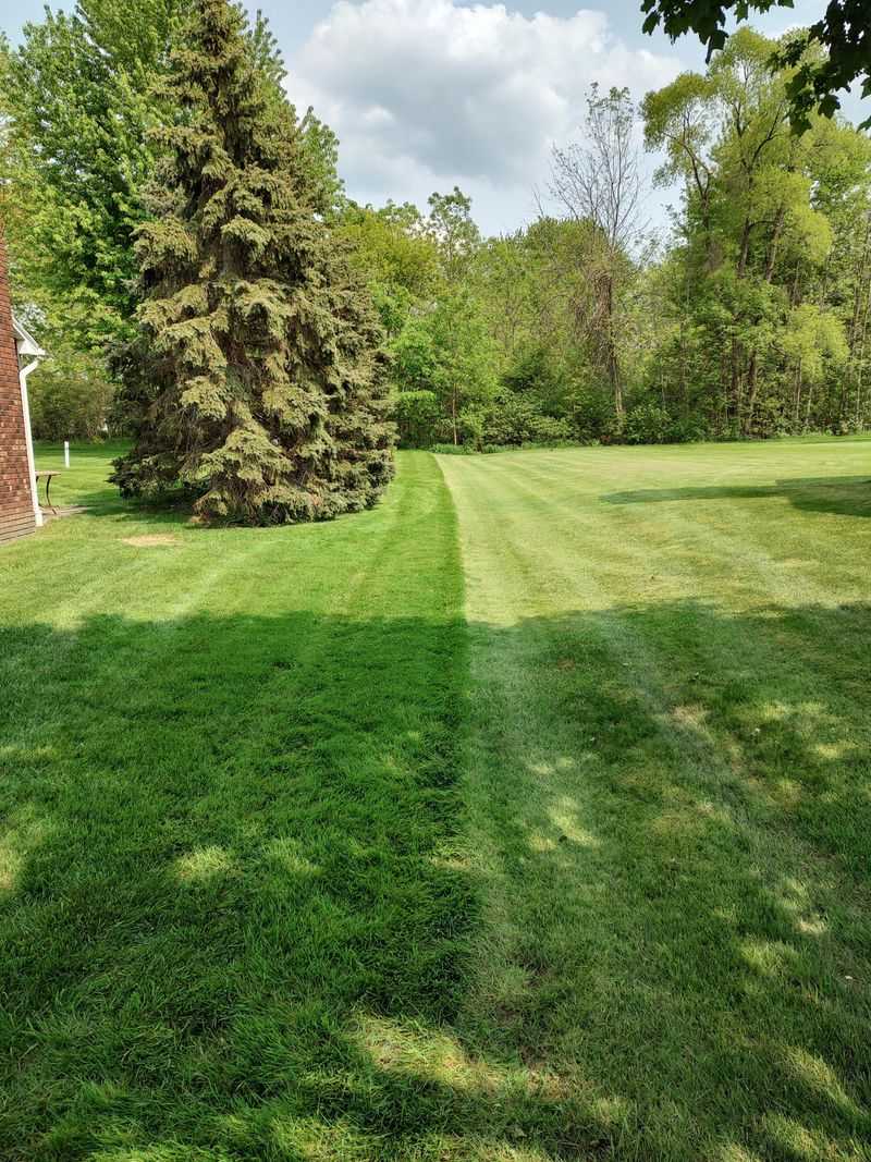 A Three Inch Height Helps Michigan Lawns Handle Heat A Three Inch Height Helps Michigan Lawns Handle Heat