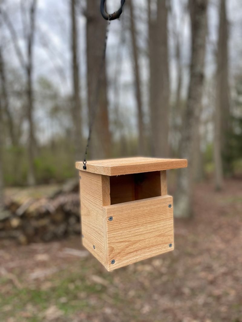 A Wren-Friendly Nest Box
