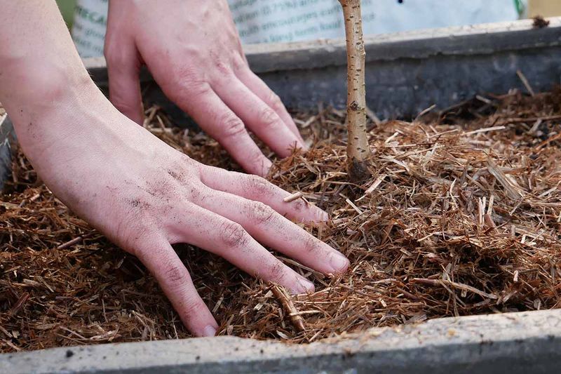 Add A Fresh Layer Of Mulch