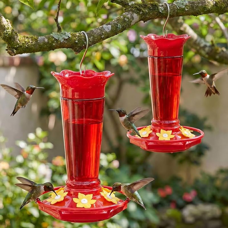 Add A Second Feeder To Reduce Chasing Add A Second Feeder To Reduce Chasing