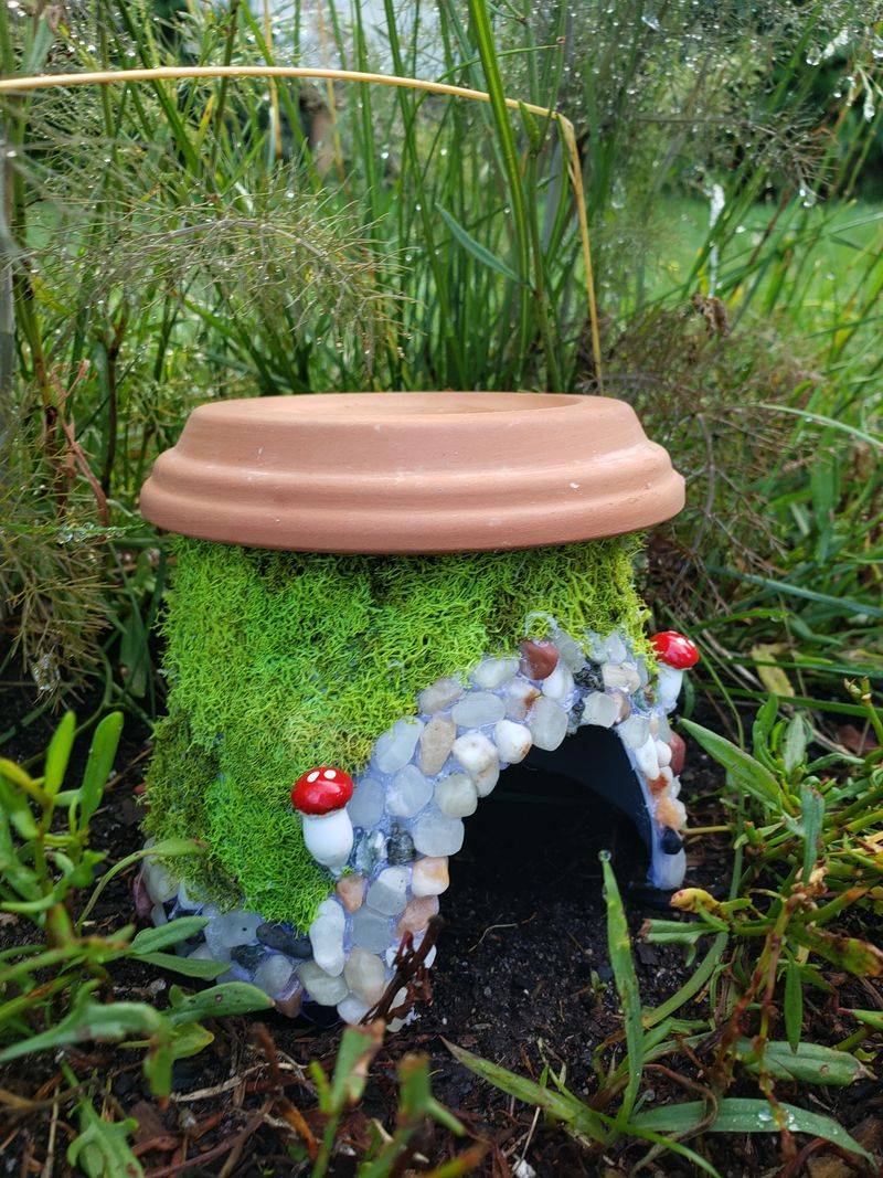 Add A Toad House In Cool Shade