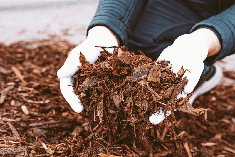 Add Mulch To Keep The Soil Cooler Longer Add Mulch To Keep The Soil Cooler Longer