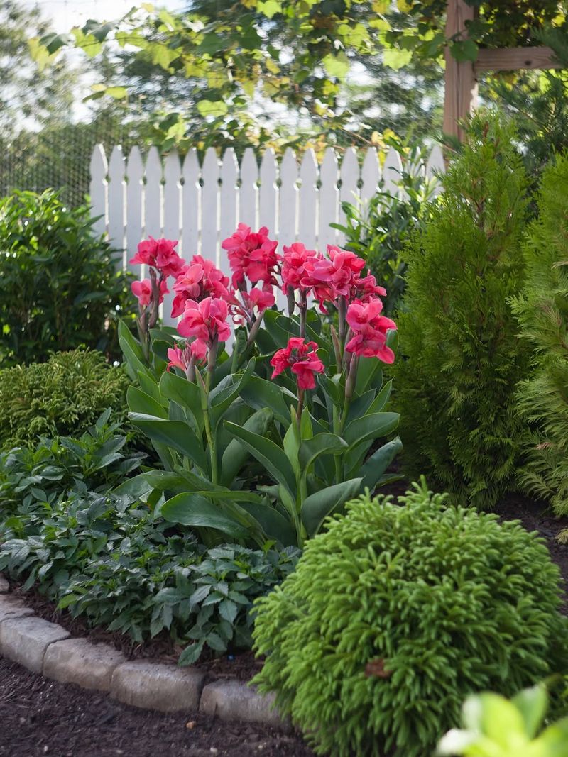 Add Mulch To Protect Plant Roots