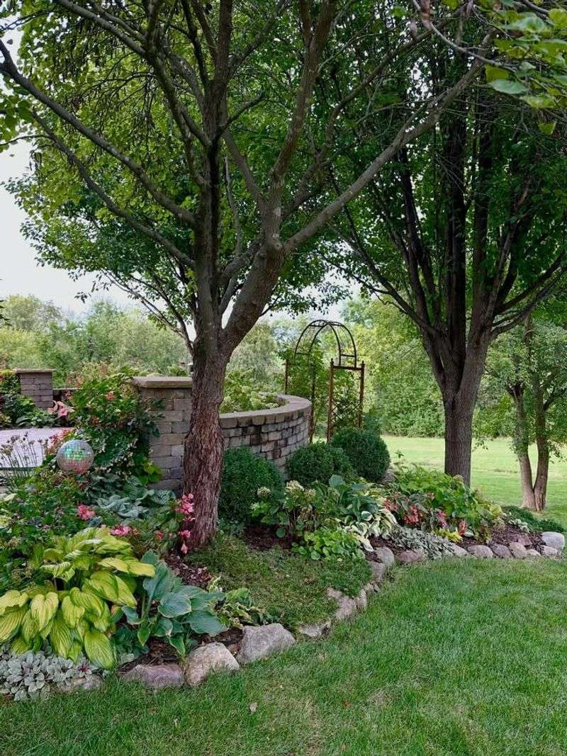 Add Native Groundcovers Between Larger Plants