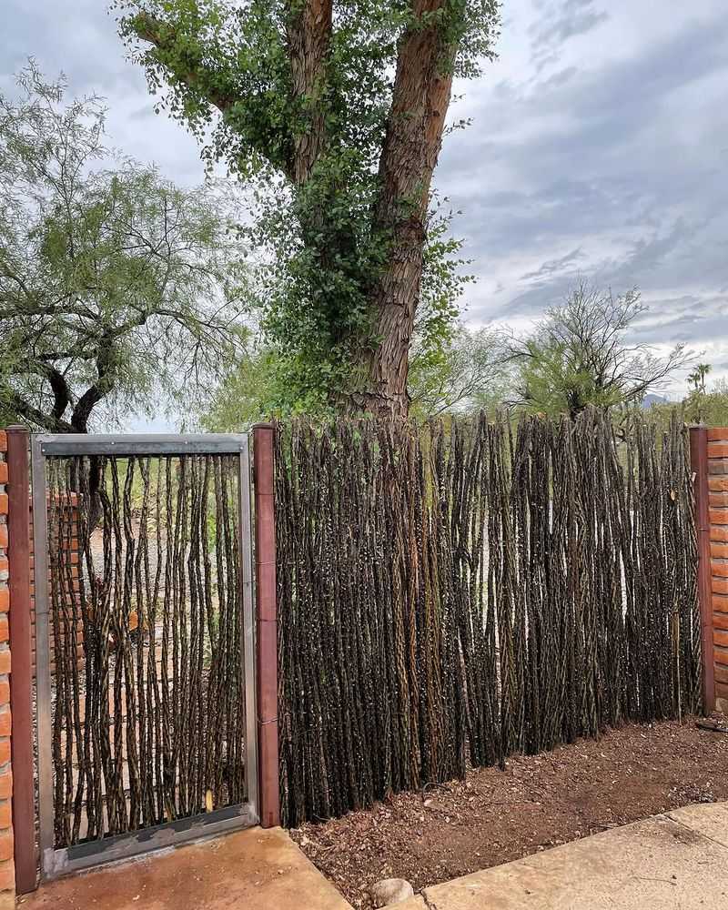 Add New Canes To Fill Open Spaces Add New Canes To Fill Open Spaces