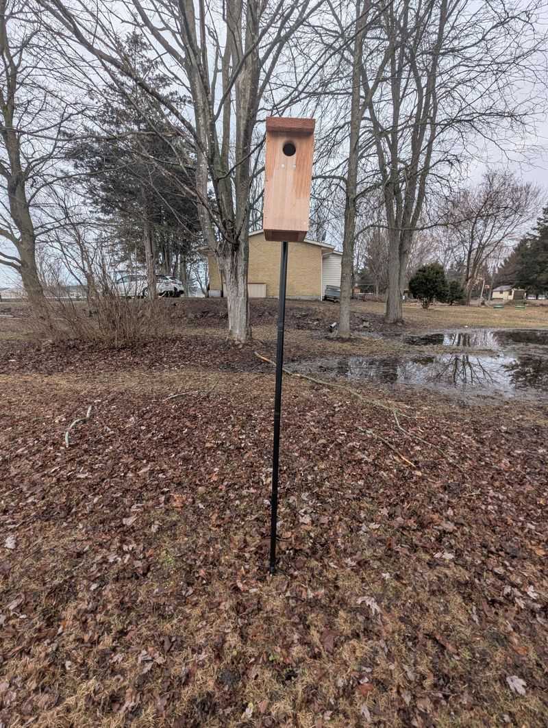 Add Perches Near Safe Hunting Spots Add Perches Near Safe Hunting Spots
