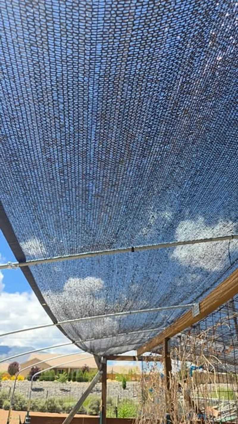 Add Temporary Shade During Heat Waves Add Temporary Shade During Heat Waves