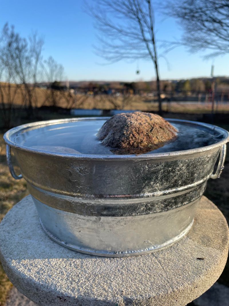 Adding A Shallow Birdbath With Fresh Water Adding A Shallow Birdbath With Fresh Water