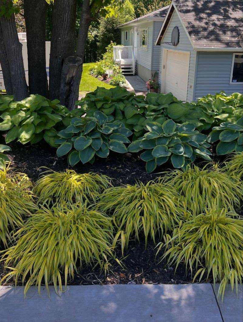 Adding Too Much Soil Over Tree Roots Adding Too Much Soil Over Tree Roots