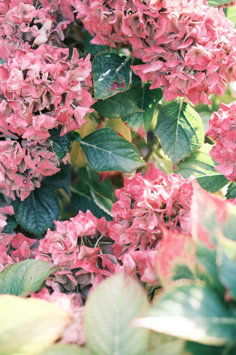 Additional Habits That Can Make Overwatering Worse Additional Habits That Can Make Overwatering Worse