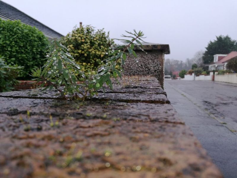 Adjust Irrigation After Monsoon Rainfall Adjust Irrigation After Monsoon Rainfall