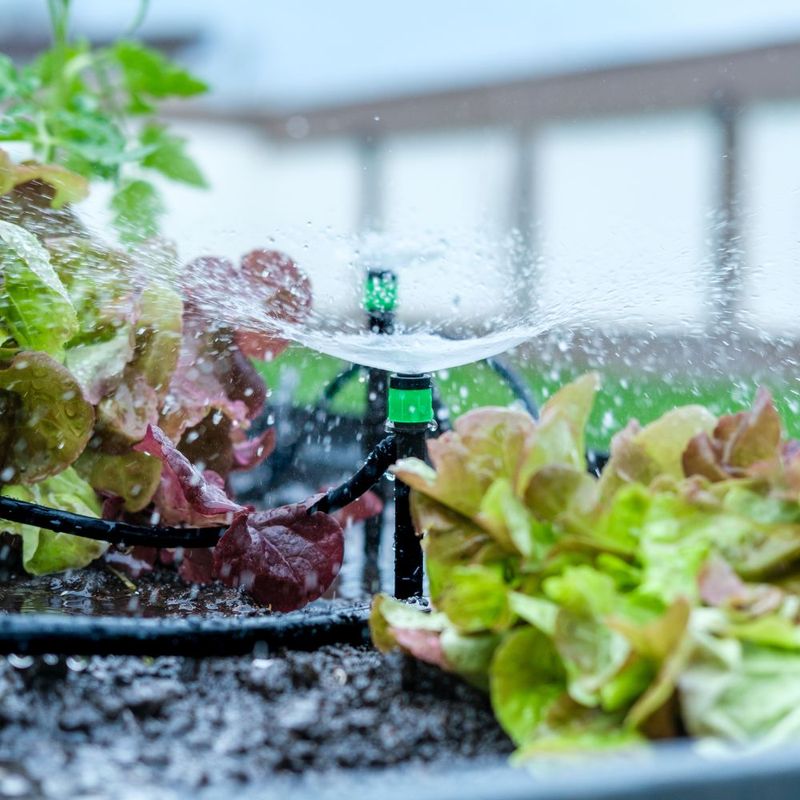 Adjust Irrigation For Higher Summer Demand