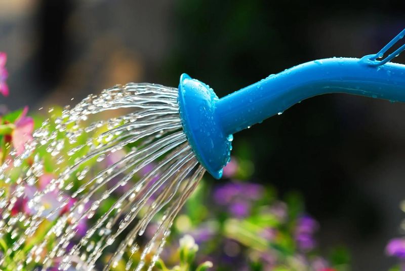 Adjust Watering As Daily Temperatures Change Adjust Watering As Daily Temperatures Change
