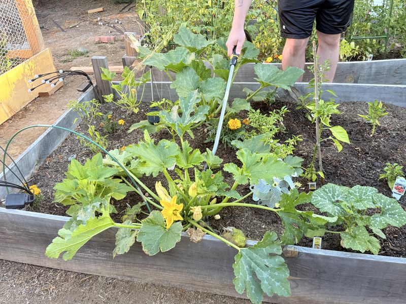 Adjust Watering To Weather And Soil