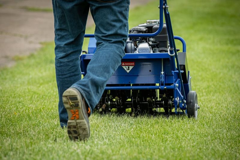 Aerating Improves Oxygen Flow To Roots Aerating Improves Oxygen Flow To Roots
