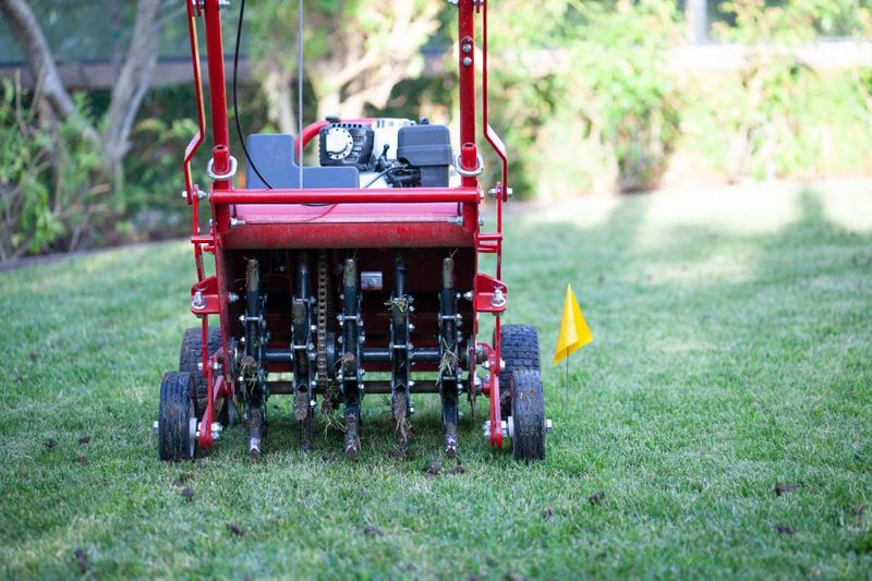 Aeration Helps Seed Reach The Soil