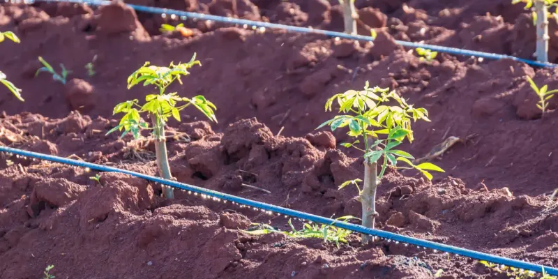 Aim Water At The Soil