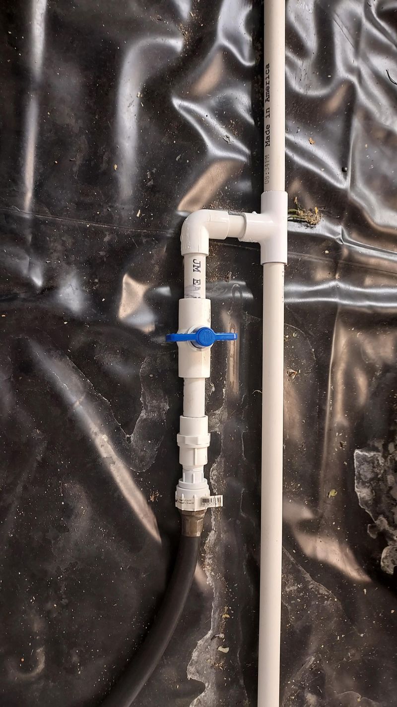 Algae Can Build Up Inside Tubing