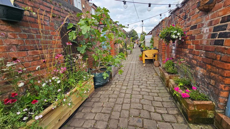 Alley Soil Needs Testing First