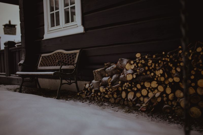 Allowing Woodpiles Too Close To The House