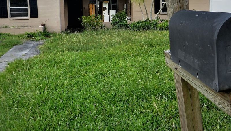 An Unmowed Yard Can Become A Code Issue An Unmowed Yard Can Become A Code Issue