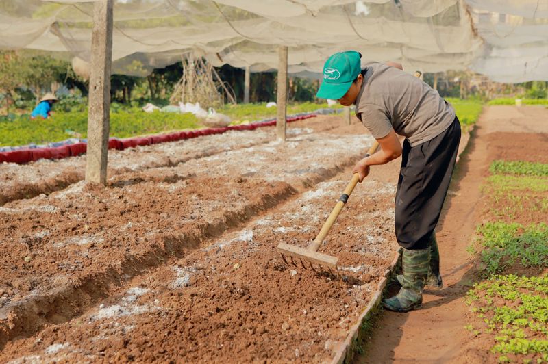 Apply Gypsum To Soil