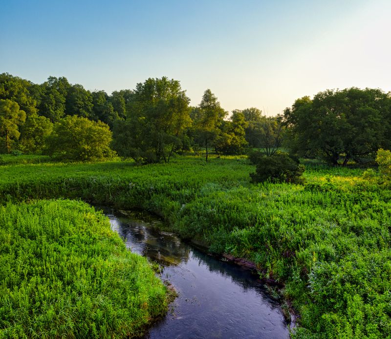 Applying Fertilizer Too Close To Waterways