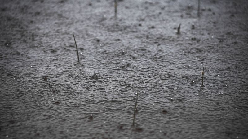 Applying It Before Rainfall Makes The Biggest Difference Applying It Before Rainfall Makes The Biggest Difference