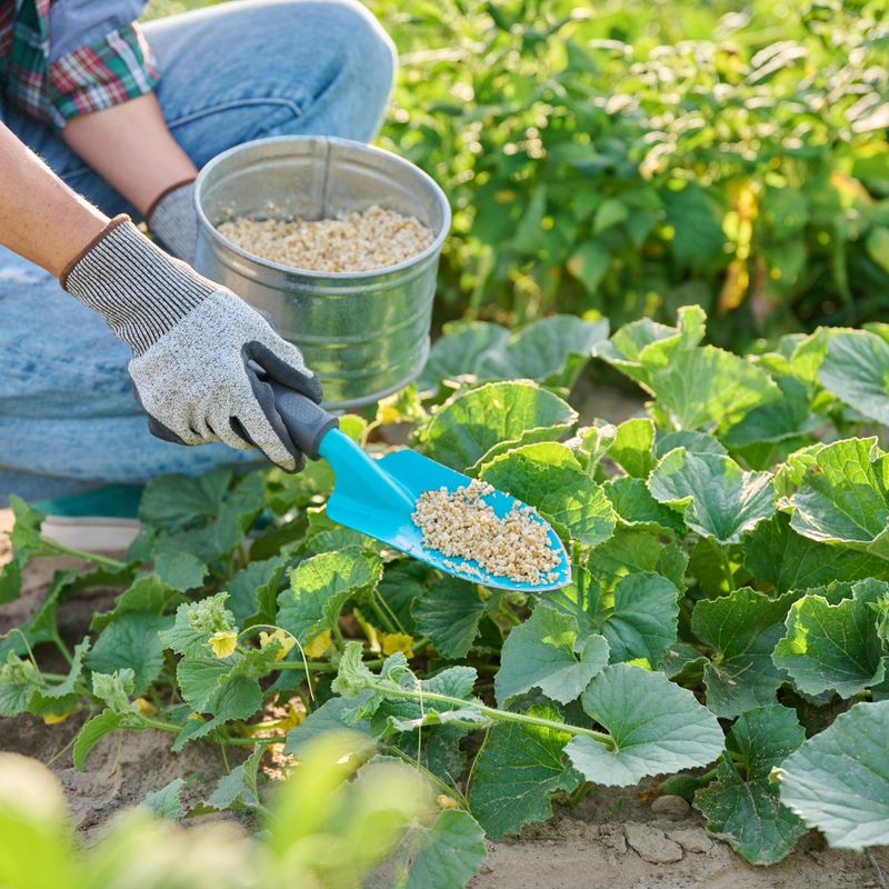 Applying Too Much Nitrogen Fertilizer Applying Too Much Nitrogen Fertilizer