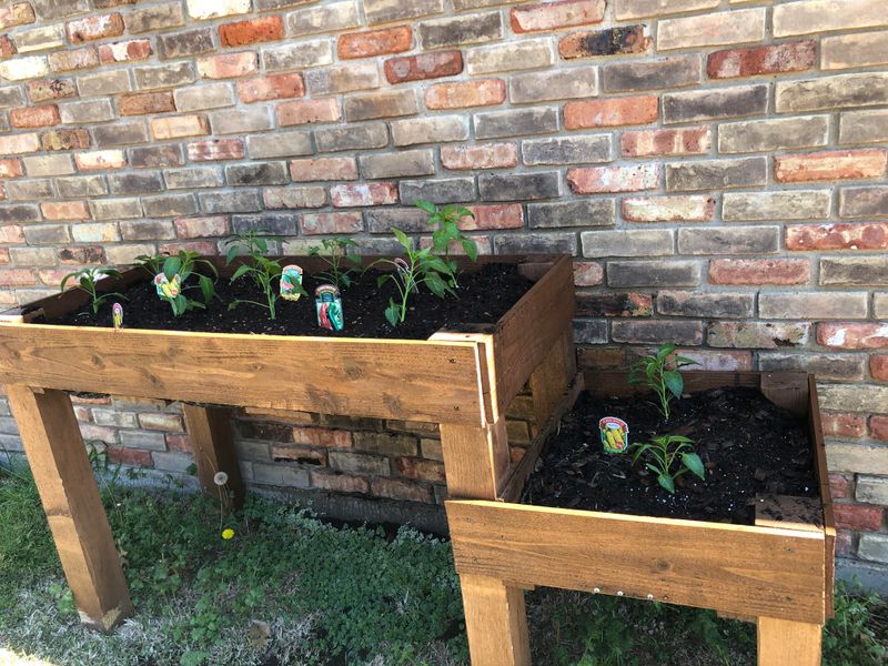 Approved Garden Beds May Be Protected Too