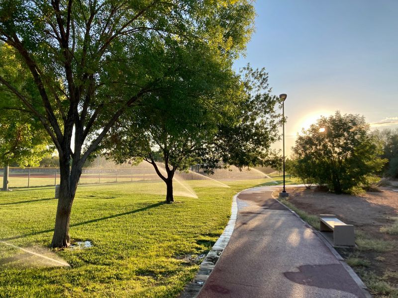 Arizona's Heat Warnings Call For A Different Watering Approach Arizona's Heat Warnings Call For A Different Watering Approach